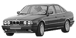 BMW E34 P1113 Fault Code